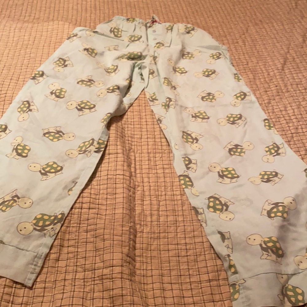 Dream Modes Turtle Sleep Pants Size S